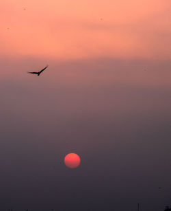 Silhouette airplane flying in sky during sunset