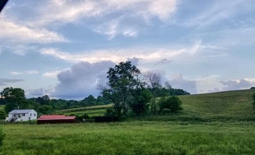 Trees on field against sky