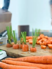 Close-up of chopped vegetables on cutting board