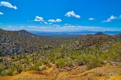 Views from gould mine in saguaro national park, tucson arizona.