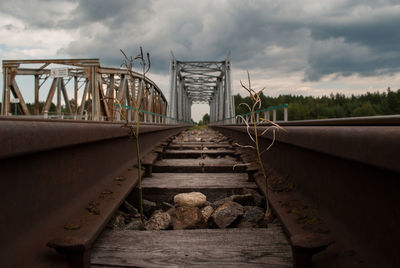 Dried plants on railway bridge against sky