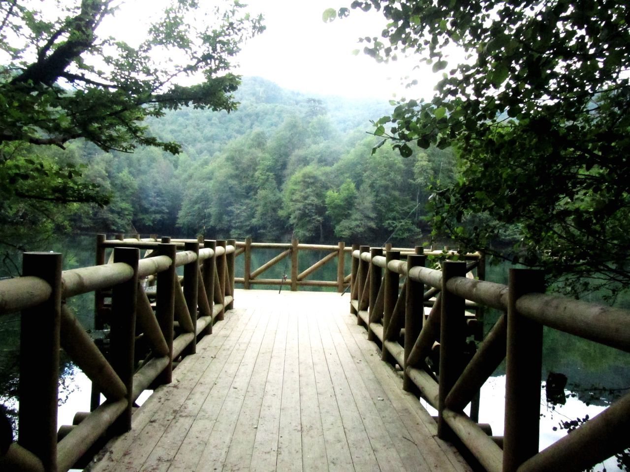 tree, railing, footbridge, the way forward, bridge - man made structure, connection, tranquility, forest, mountain, tranquil scene, built structure, wood - material, diminishing perspective, nature, beauty in nature, water, scenics, bridge, river, day