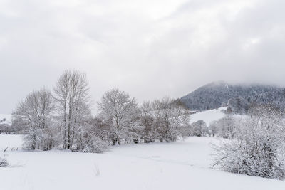 Bare trees on snow covered land against sky