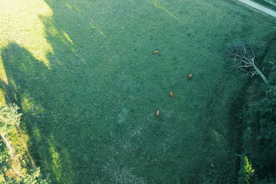 High angle view of people on sea shore