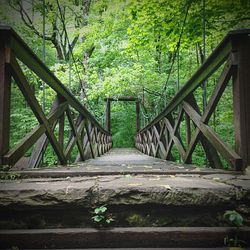 Footbridge in forest