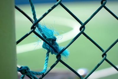 Close-up of blue chainlink fence