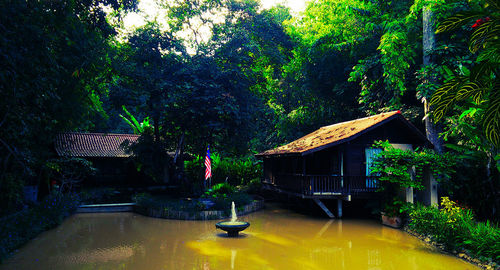 House by trees in forest