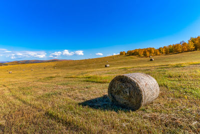 Hay bales on field against blue sky