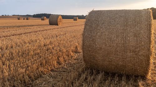 Hay bales on field against sky