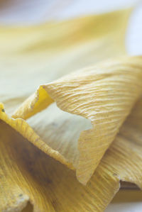 Close-up of fresh table