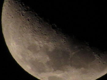 Close-up of jellyfish against moon at night