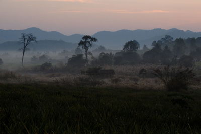 Scenic view of field against sky at sunset