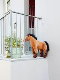 Brown stuffed horse by potted plant in balcony