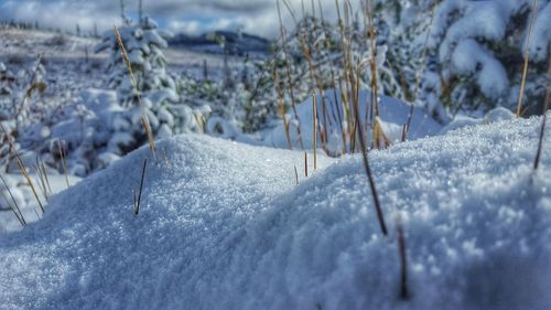 Close-up of snow