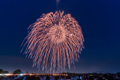 Low angle view of firework display at night