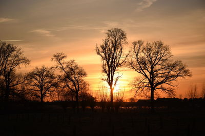 Silhouette trees on field against romantic sky at sunset