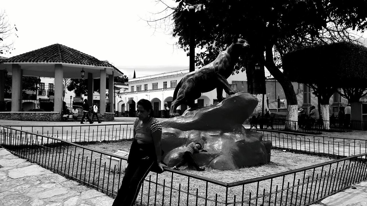 animal themes, tree, railing, sculpture, statue, animals in the wild, built structure, wildlife, architecture, bird, animal representation, day, building exterior, sunlight, clear sky, water, animals in captivity, fountain, art and craft