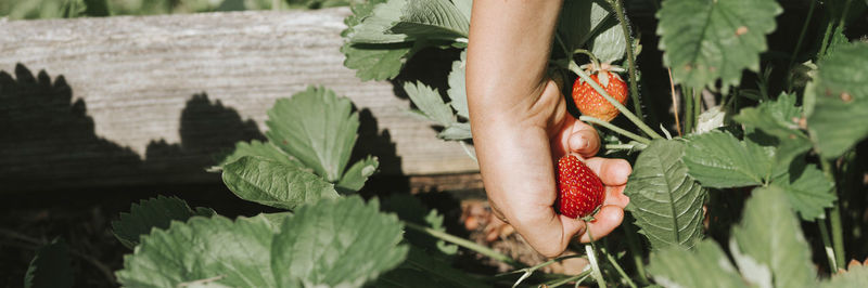 Low section of woman standing on plant