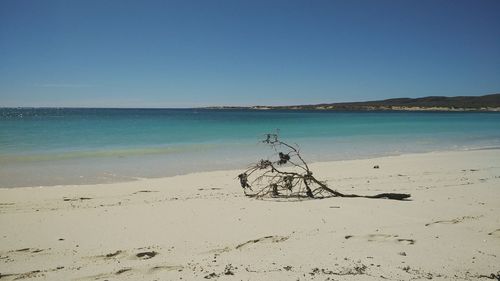 Scenic view of beach against clear blue sky