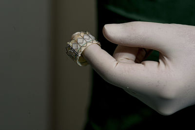 Close-up of hand holding wedding rings