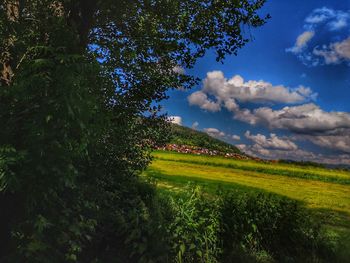 Scenic view of field against sky