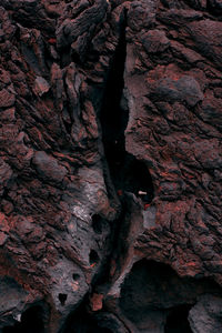 Full frame shot of tree trunk