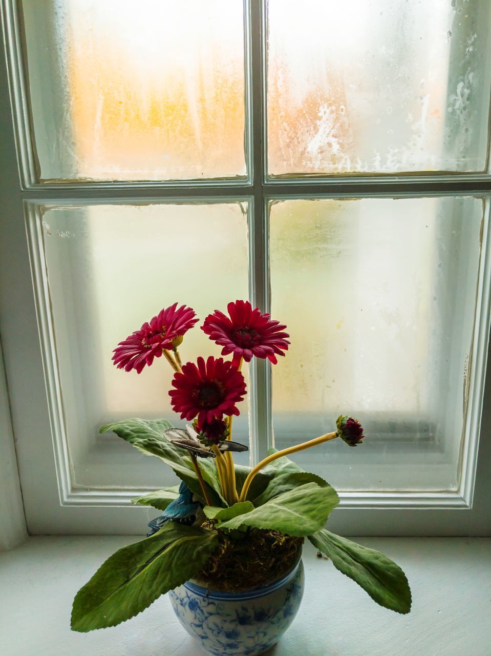 FLOWER VASE ON WINDOW SILL