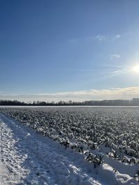 Snow covered field against sky