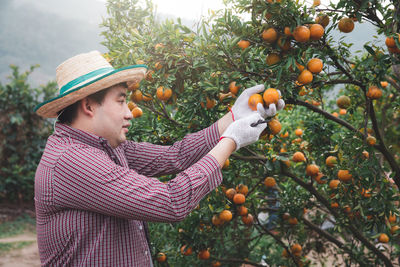 Side view of young woman holding fruits on tree