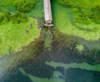 Aerial view of jetty over swamp