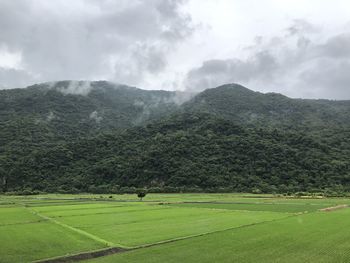 Scenic view of landscape against sky