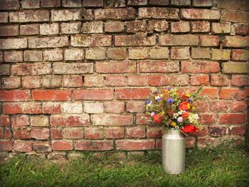 Potted plant on building wall