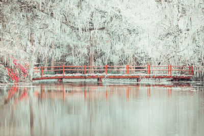 Reflection of trees in lake during winter