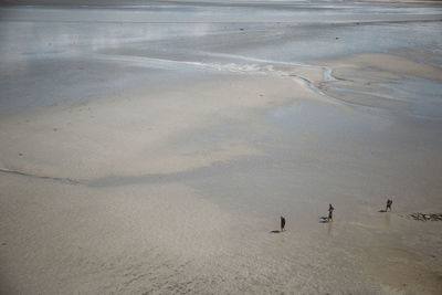 High angle view of people at beach