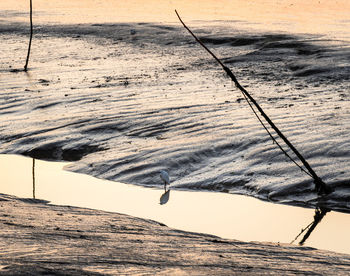 High angle view of fishing net on beach