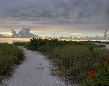 Scenic view of field against sky during sunset