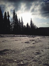 Silhouette trees on snow covered landscape against cloudy sky