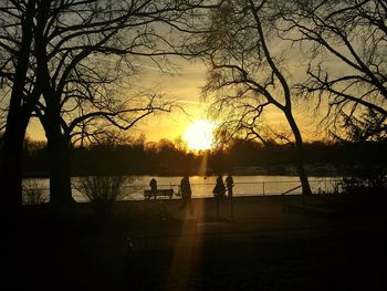 Silhouette of trees at sunset