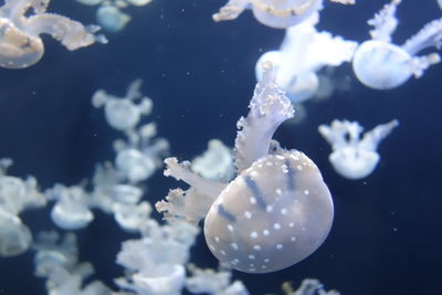 Close up of water