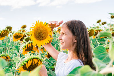 A joyful girl measures her height with sunflowers in a field in the sun. local tourism and freedom