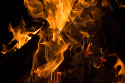 Close-up of bonfire at night