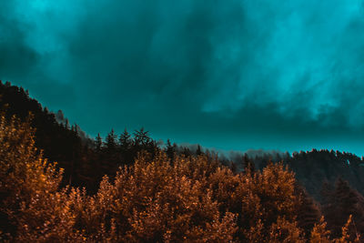 Scenic view of forest against sky during autumn