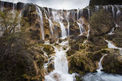 Low angle view of waterfall in forest