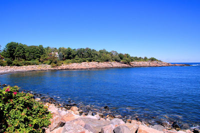 Scenic view of sea against clear blue sky