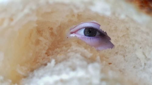 Close-up of teenage girl peeking through bread