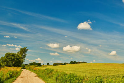 Scenic view of agricultural field against sky