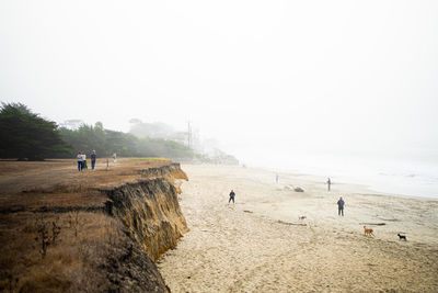 People at beach during foggy weather
