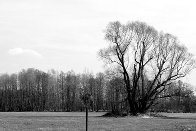 Bare trees on snow covered field