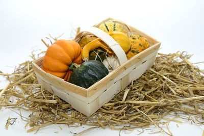 Close-up of food against white background