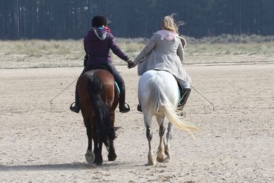 Rear view of friends holding hands while riding horses on land